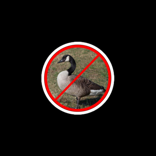 No Geese Allowed Stickers