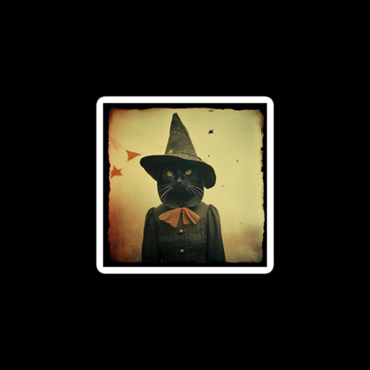 The Witch Cat Stickers